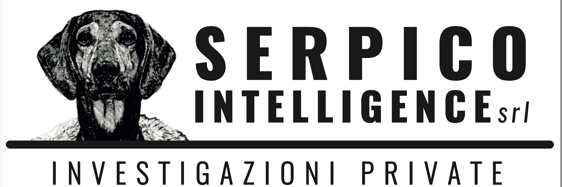 logo-serico intelligence